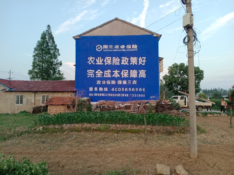 浮梁墙体广告的优劣势你知道吗？